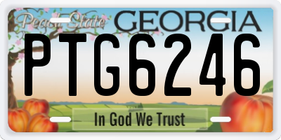 GA license plate PTG6246