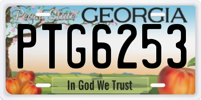 GA license plate PTG6253