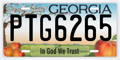GA license plate PTG6265