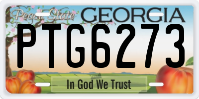 GA license plate PTG6273