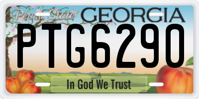 GA license plate PTG6290