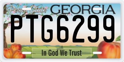 GA license plate PTG6299