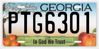 GA license plate PTG6301