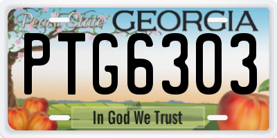 GA license plate PTG6303