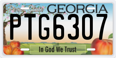 GA license plate PTG6307