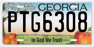 GA license plate PTG6308