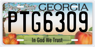 GA license plate PTG6309