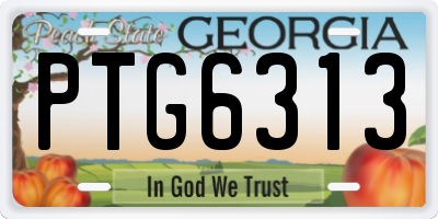 GA license plate PTG6313