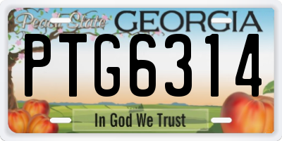 GA license plate PTG6314