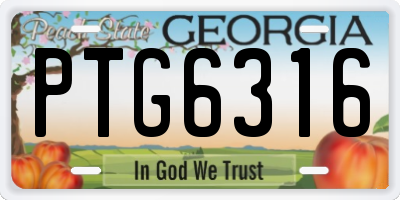 GA license plate PTG6316