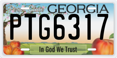 GA license plate PTG6317