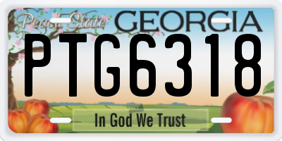 GA license plate PTG6318