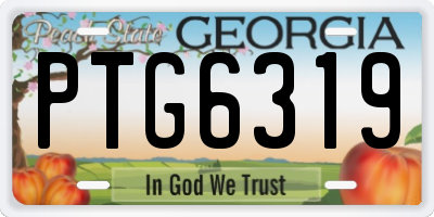 GA license plate PTG6319