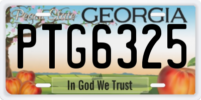 GA license plate PTG6325