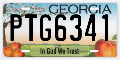 GA license plate PTG6341
