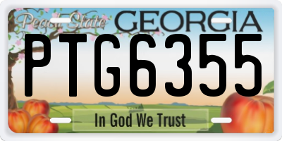 GA license plate PTG6355