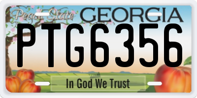 GA license plate PTG6356