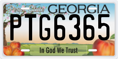 GA license plate PTG6365