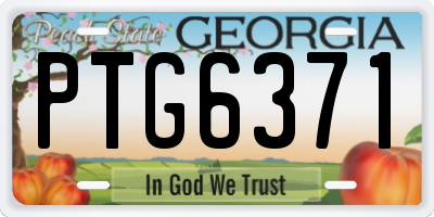 GA license plate PTG6371