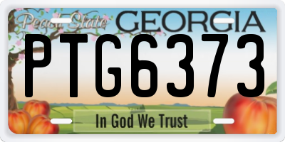 GA license plate PTG6373