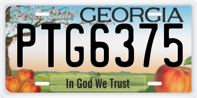 GA license plate PTG6375