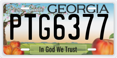 GA license plate PTG6377