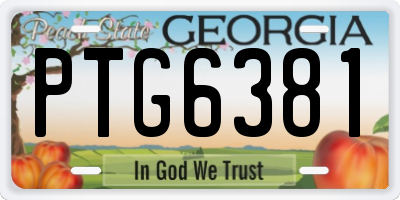 GA license plate PTG6381