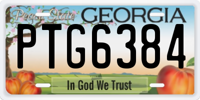 GA license plate PTG6384