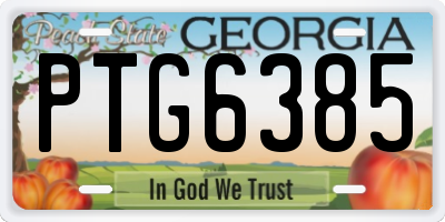 GA license plate PTG6385