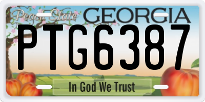 GA license plate PTG6387