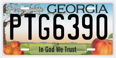 GA license plate PTG6390