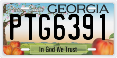 GA license plate PTG6391