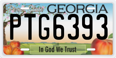 GA license plate PTG6393
