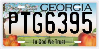 GA license plate PTG6395