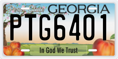 GA license plate PTG6401
