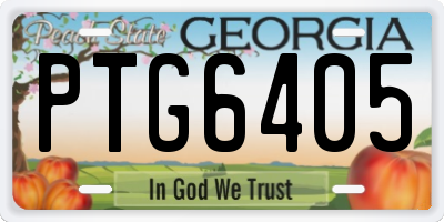GA license plate PTG6405