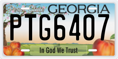 GA license plate PTG6407