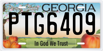 GA license plate PTG6409