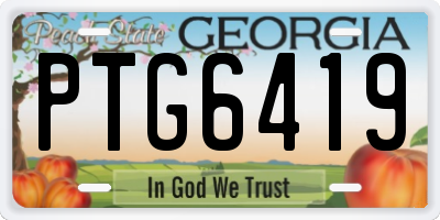GA license plate PTG6419