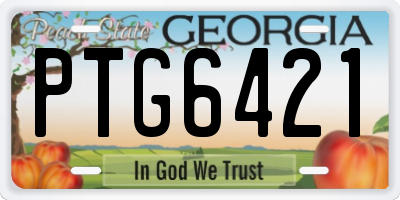 GA license plate PTG6421