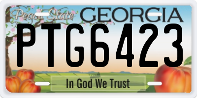 GA license plate PTG6423