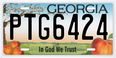 GA license plate PTG6424