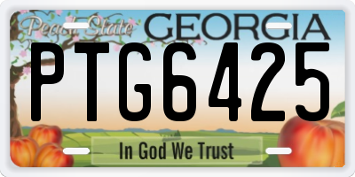 GA license plate PTG6425