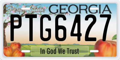 GA license plate PTG6427