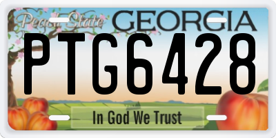 GA license plate PTG6428