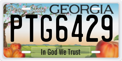 GA license plate PTG6429