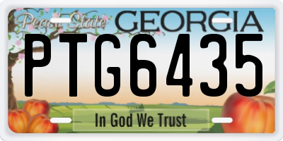 GA license plate PTG6435