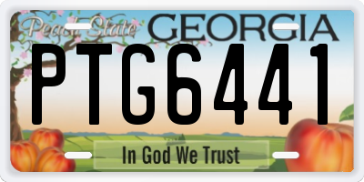 GA license plate PTG6441