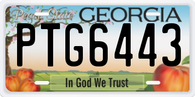 GA license plate PTG6443