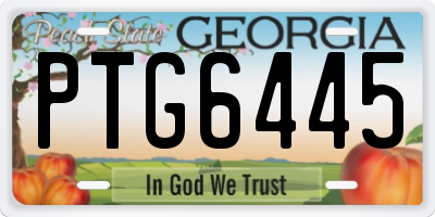 GA license plate PTG6445